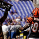 Image for article titled Part 2: Ocho Stinko and Injuries, Injuries, Injuries